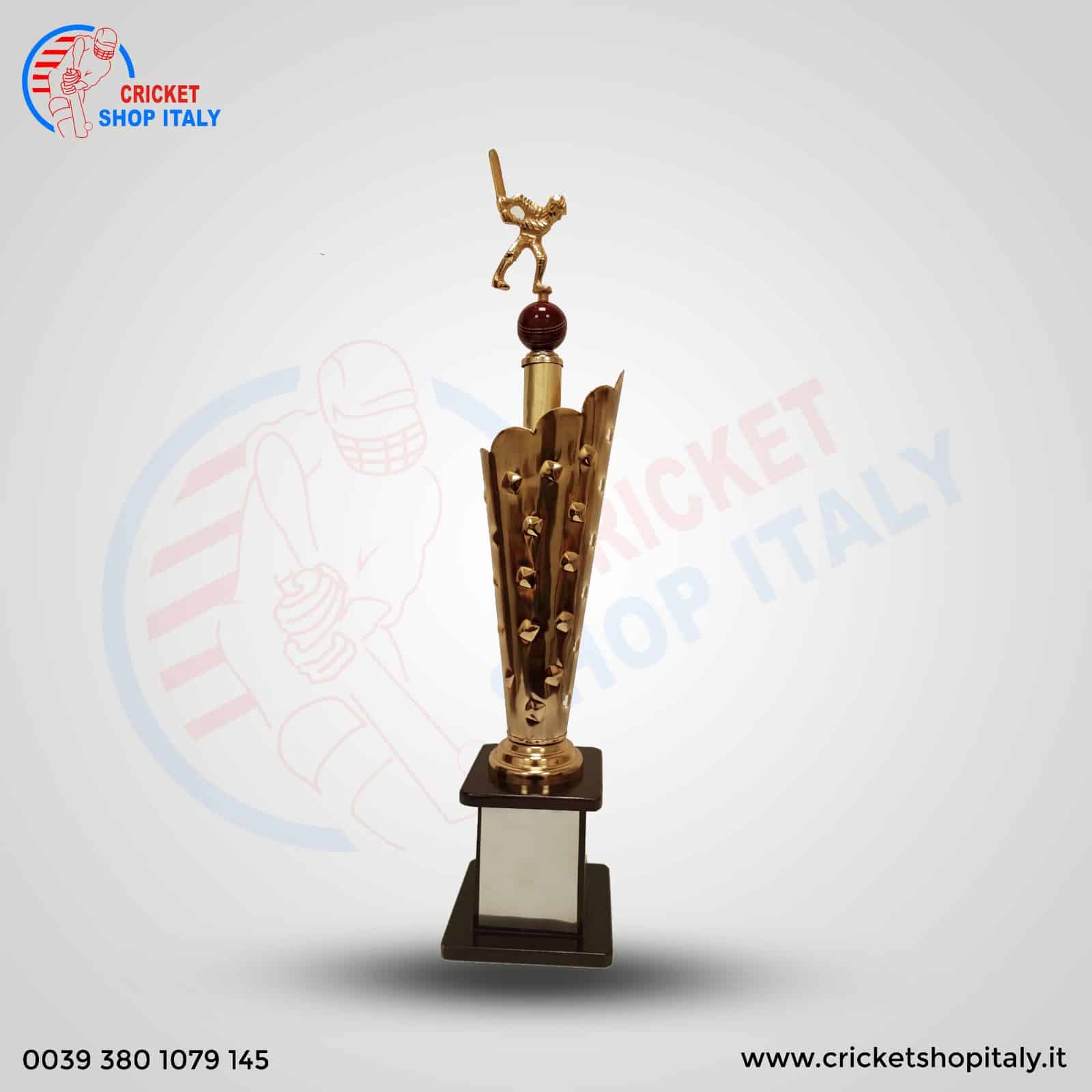 Icon Cricket Winner Trophy