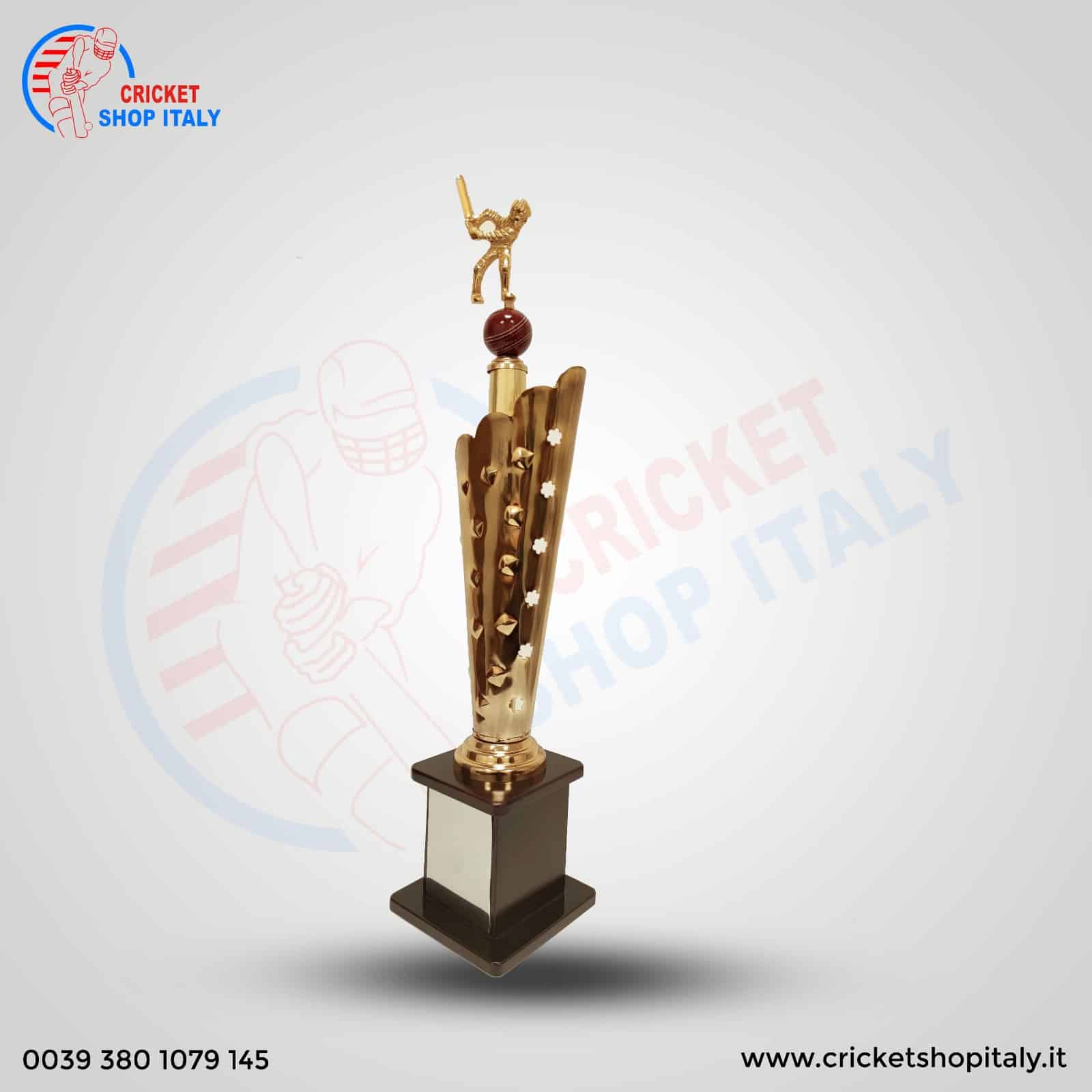 Icon Cricket Winner Trophy - Image 2
