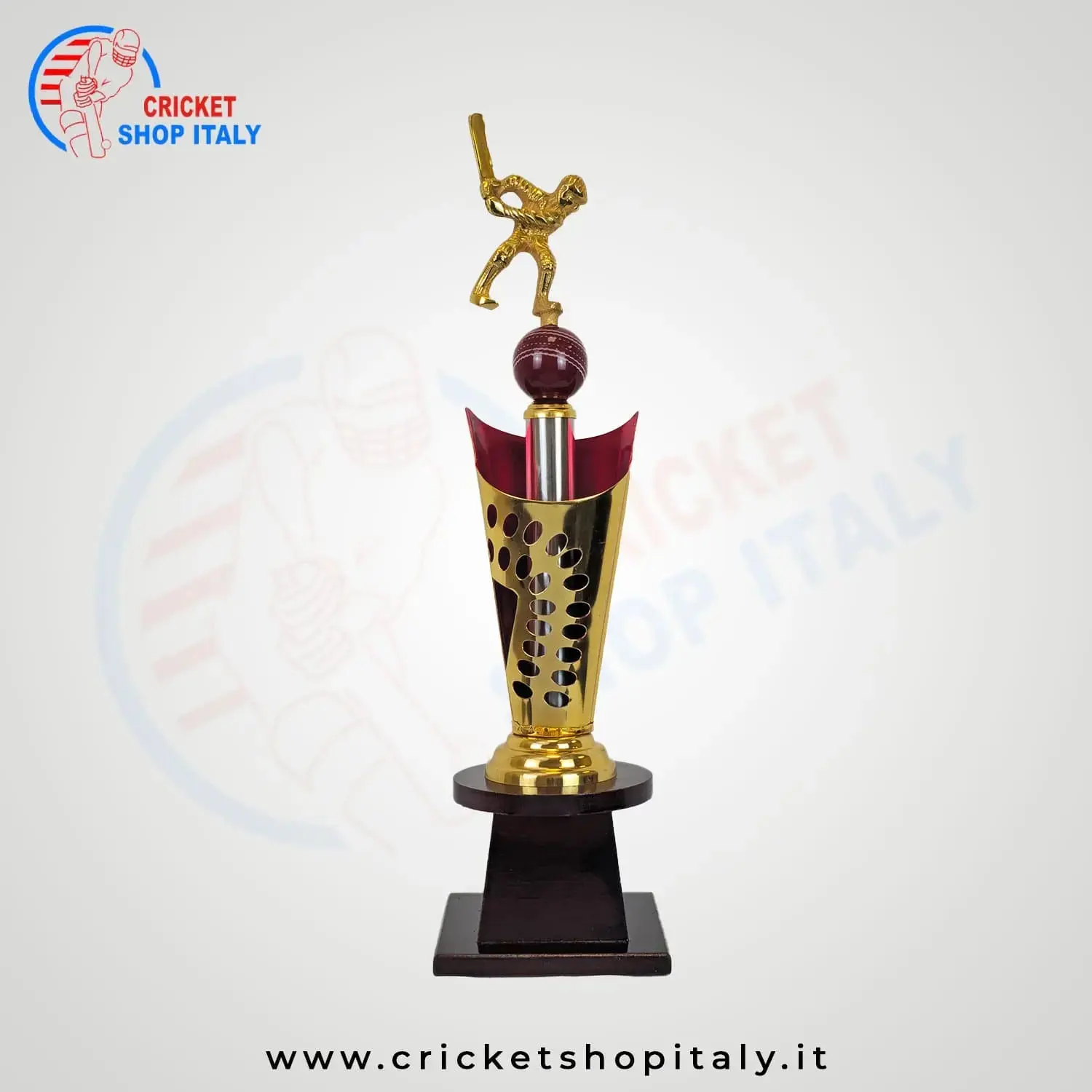 Add your logo on Trophy