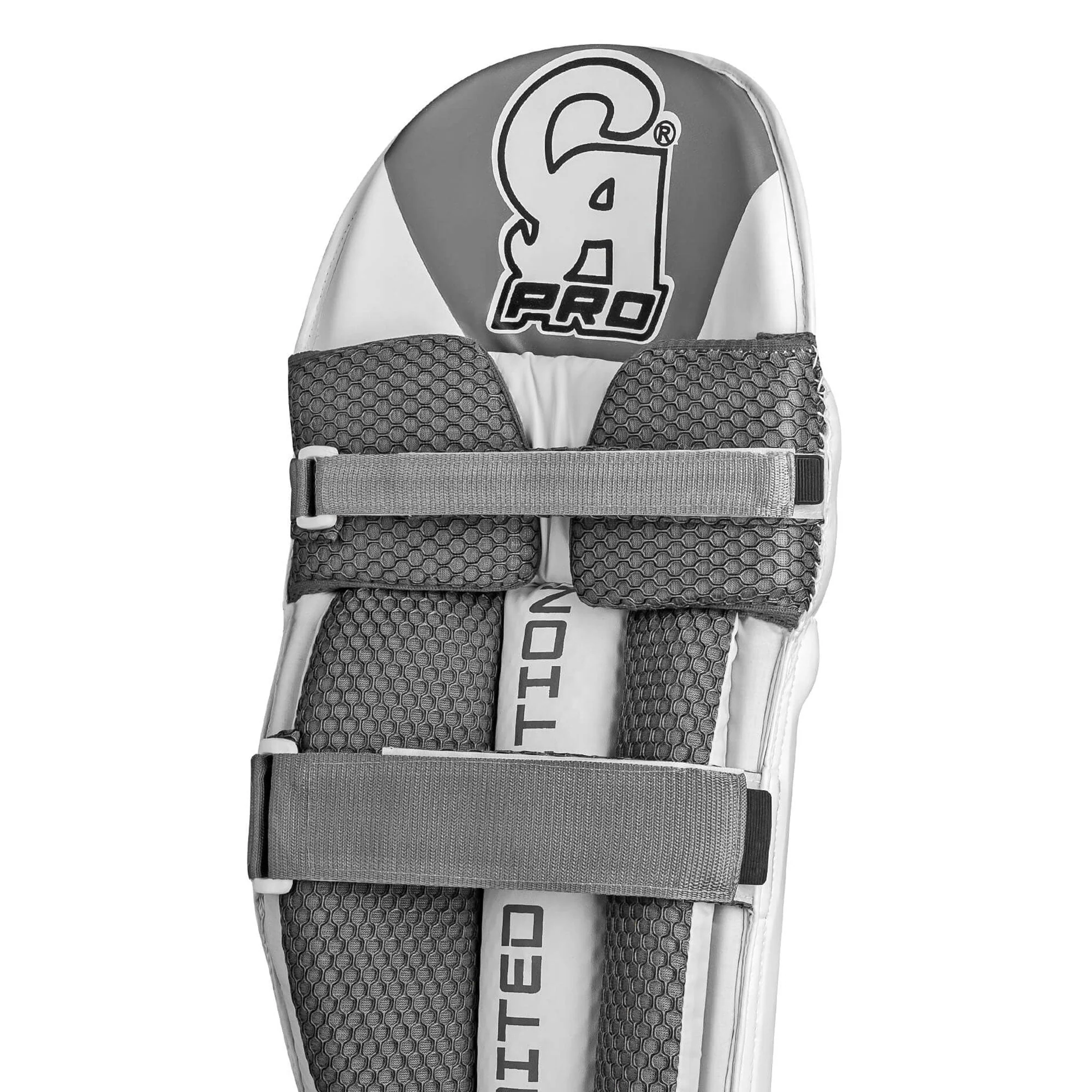 CA PRO Limited Edition Batting Pads - Image 7