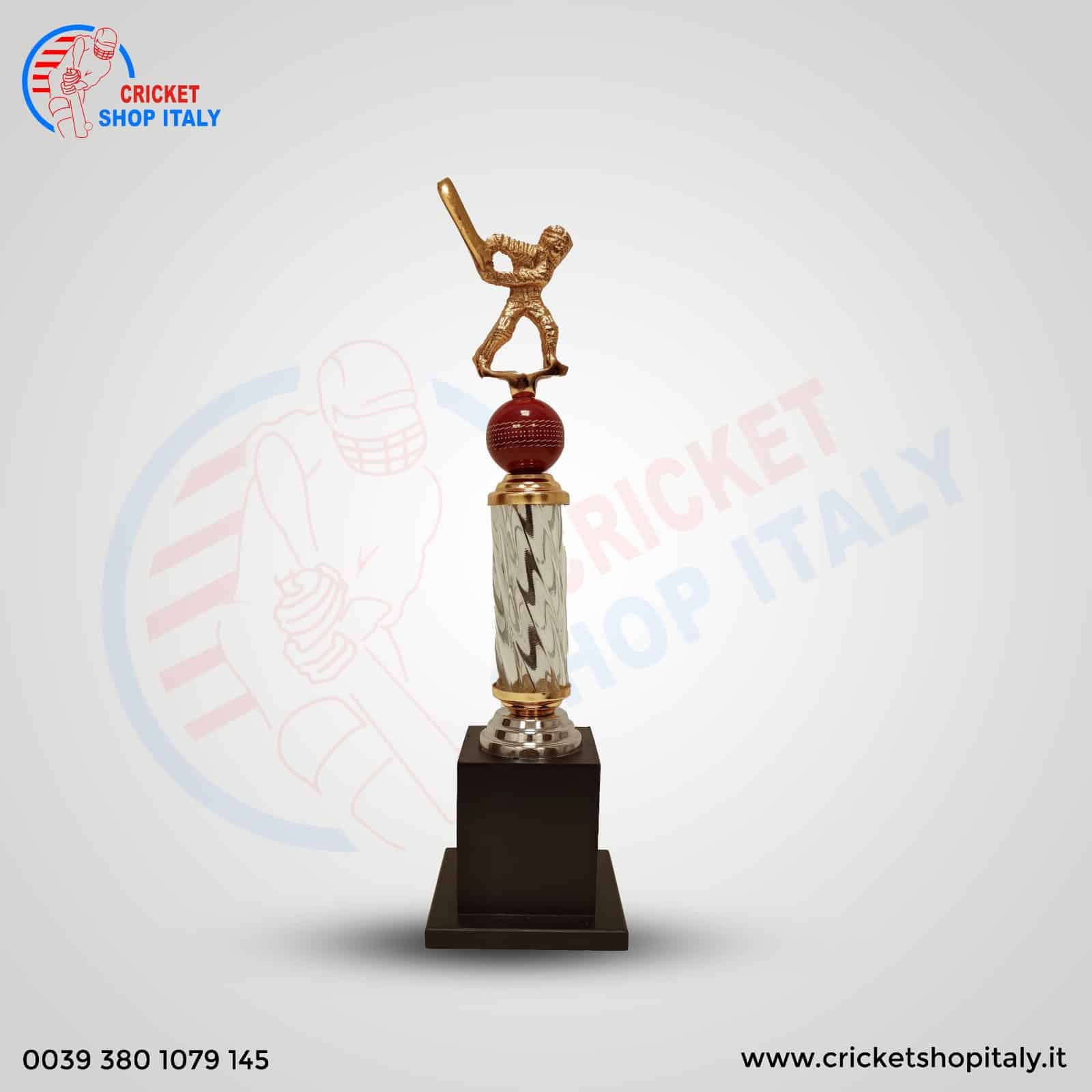 Cricket Batsman Trophy -270 - Image 2