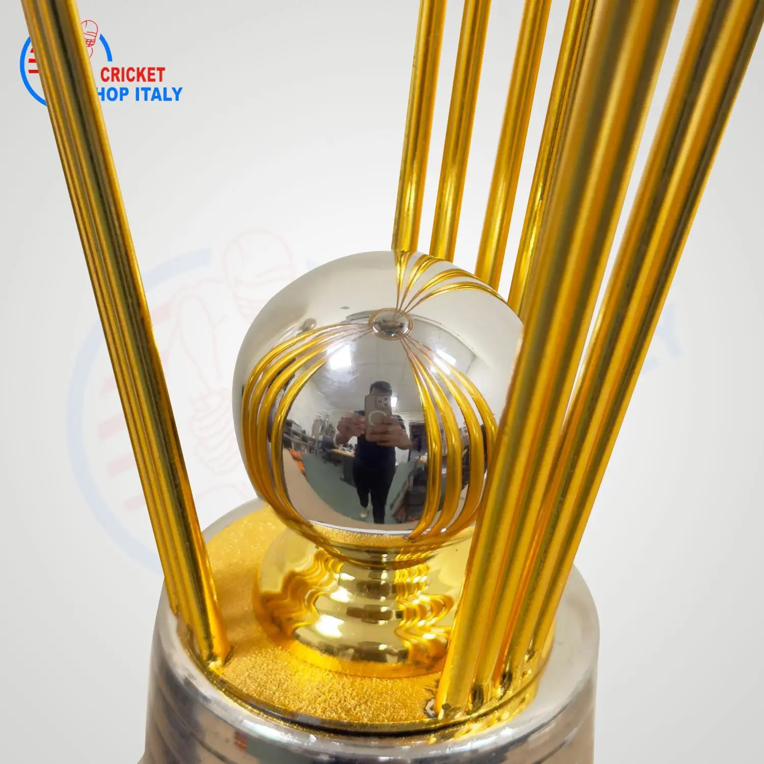Cricket World Cup Trophy - Image 5