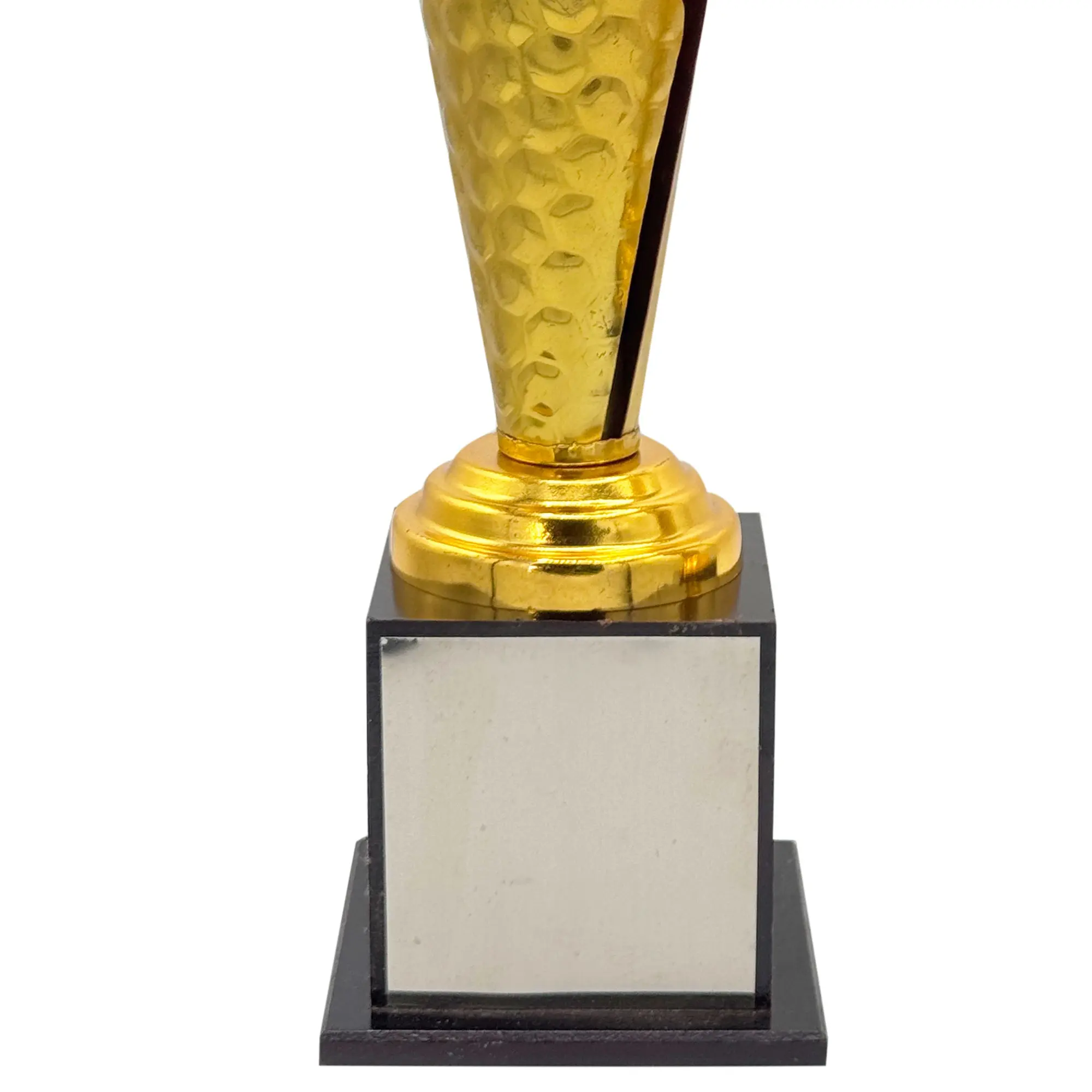 Crystal Gold Cricket Trophy - Image 2