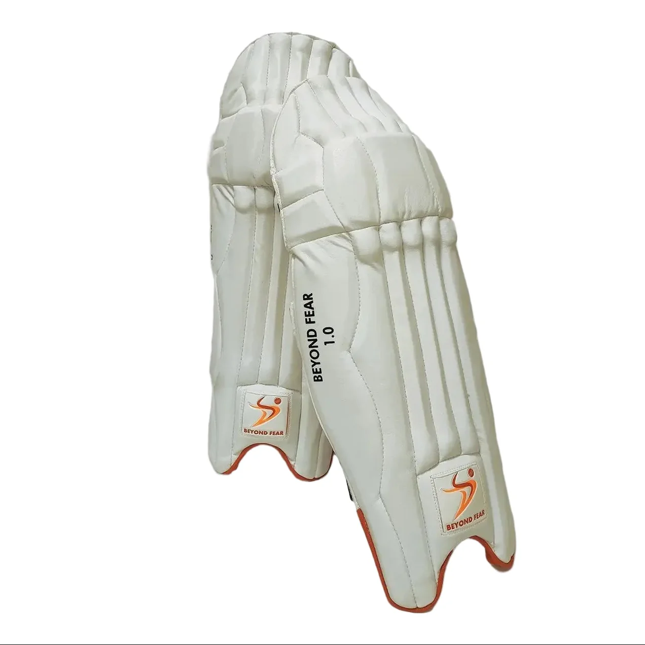 DS Sports 1.0 Batting Pads