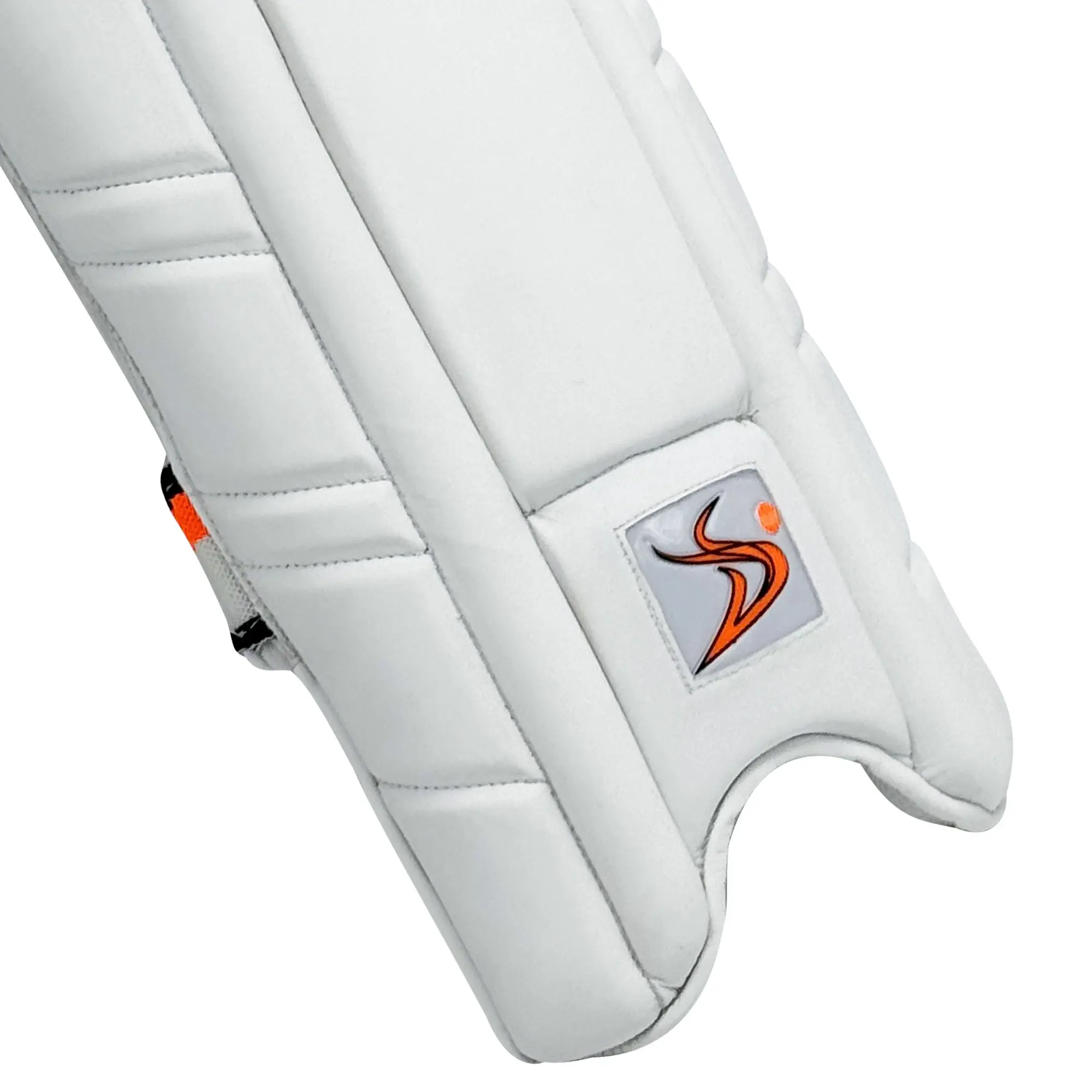 DS Cricket Batting Pads - Image 12