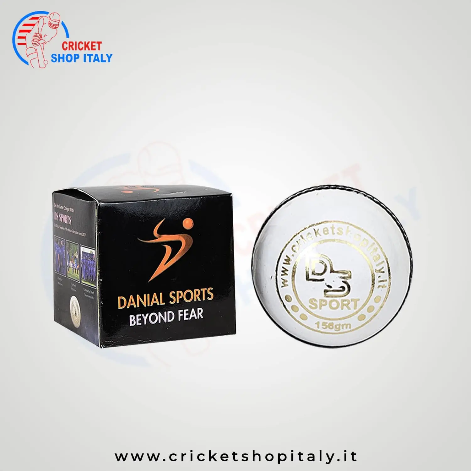 DS T 20 Cricket Ball (12 Balls)
