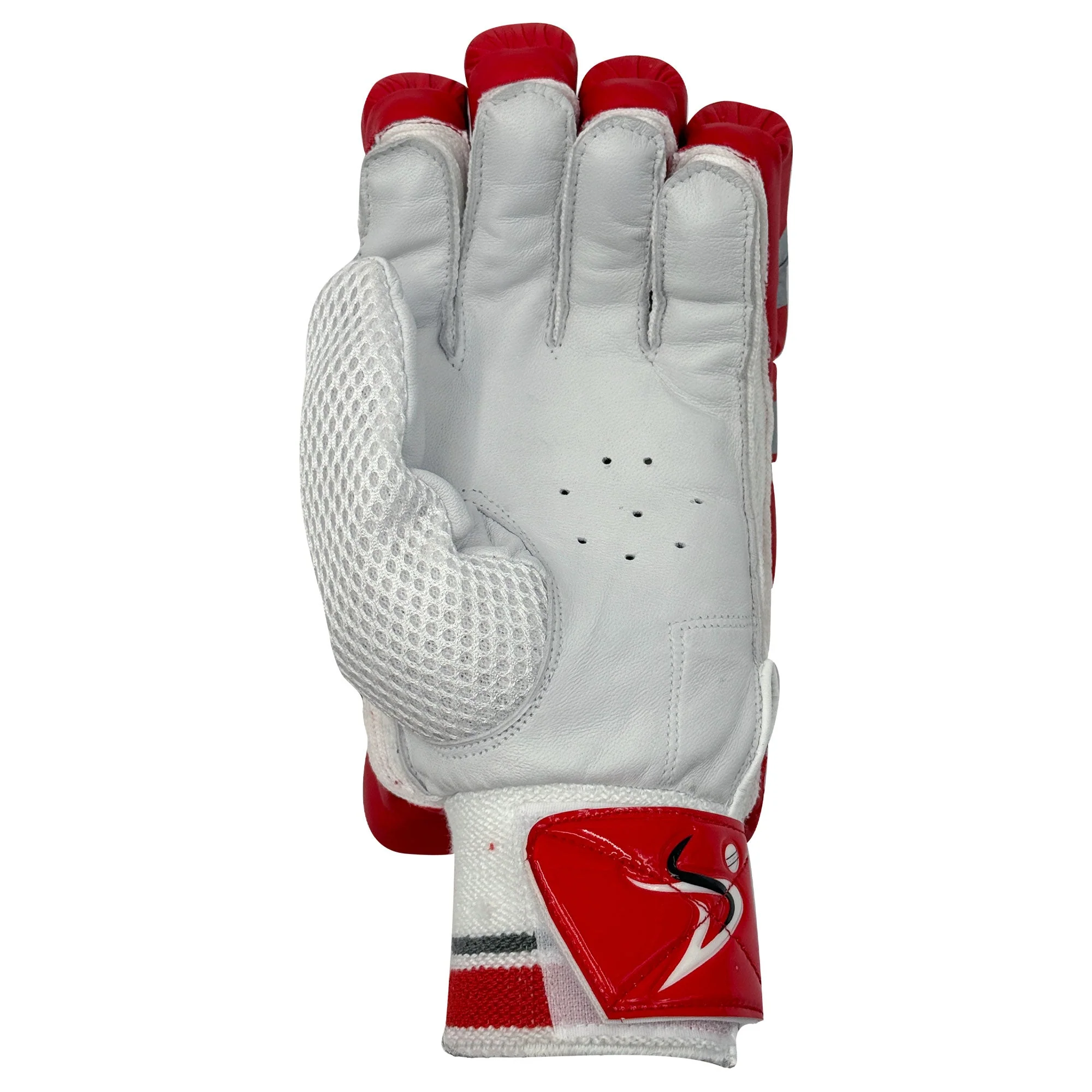 DS T/20 Limited Edition Batting Gloves Red - Image 5