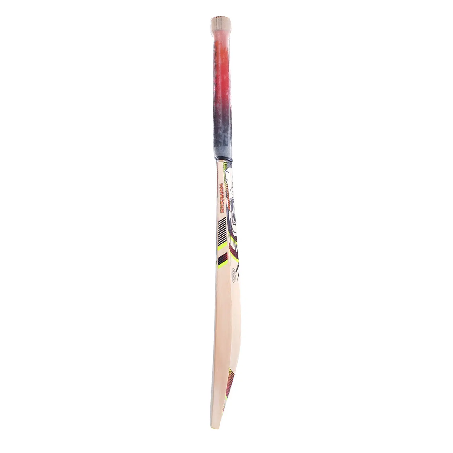 Kookaburra Beast 5.1 Cricket Bat - Image 5