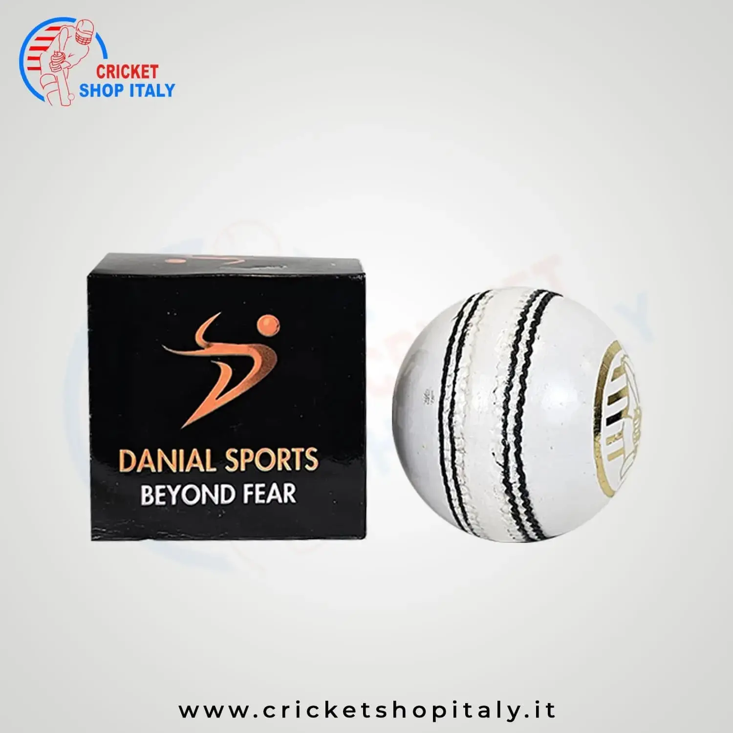 DS T20 Cricket Ball - Image 4