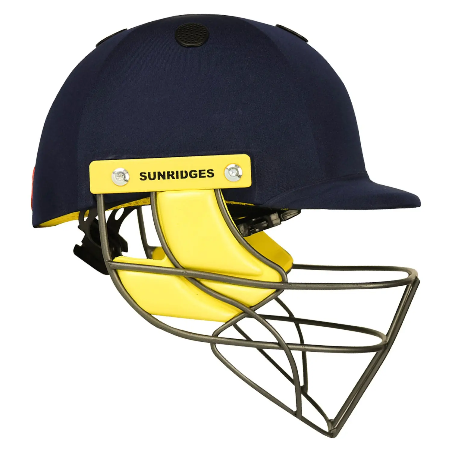 SS Pro Premium Cricket Helmet - Image 3